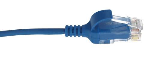 Pack of 10 RJ45 cords C6 U/UTP LSZH Ultra-Slim 30 cm, blue