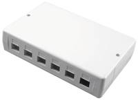6 or 12 port RJ45 box for GIGAMEDIA connectors