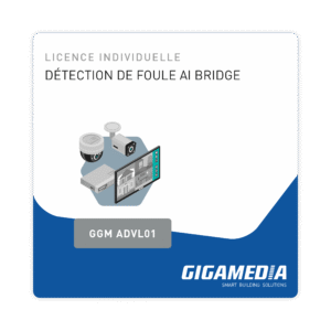 Licence Individuelle pour détection de foule AI bridge