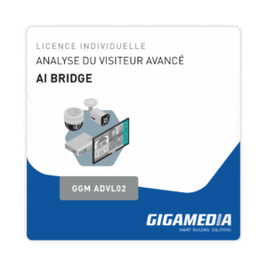 Licence Individuelle pour Analyse du visiteur avancé pour Ai bridge