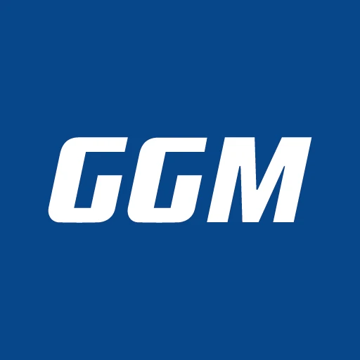 favicon-gigamedia